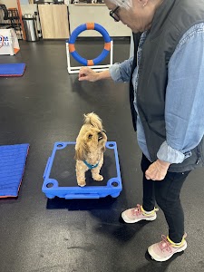 Zoom Room Dog Training